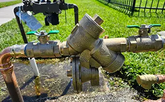 Wilkins Backflow