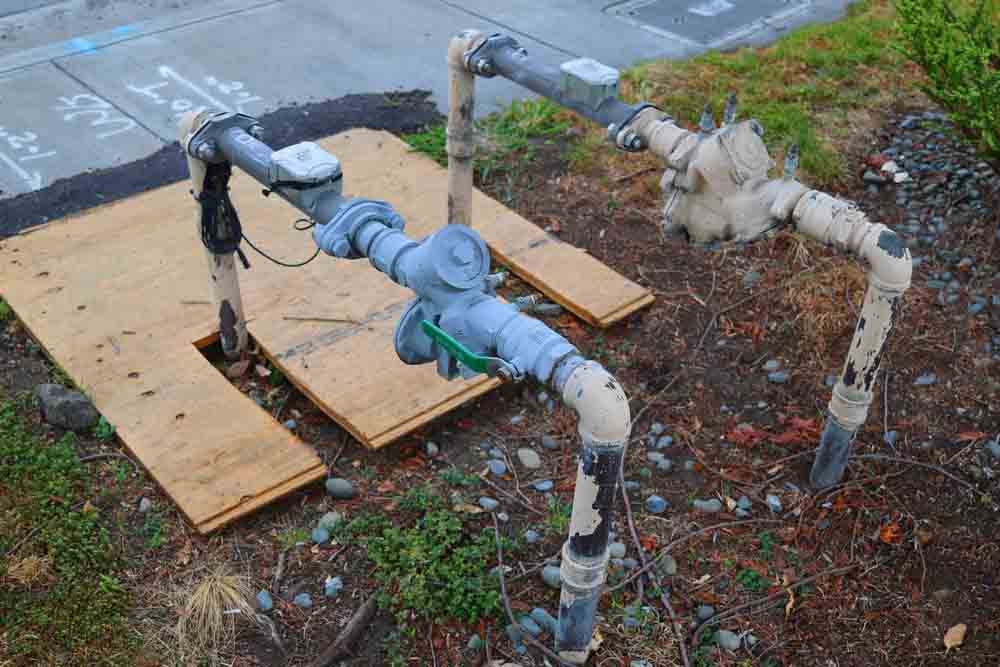 Backflow prevention device